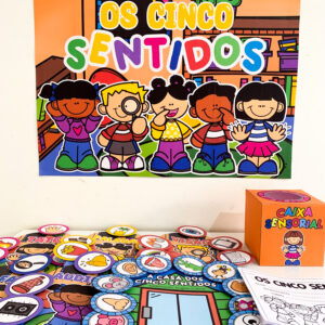 Kit Os 5 sentidos