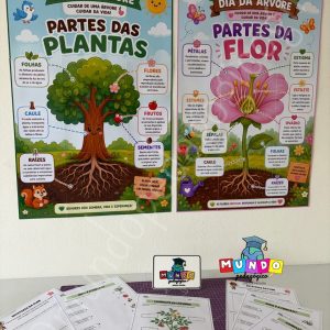 Kit partes da planta - Dia da árvore